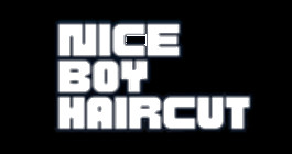 Nice Boy Haircut